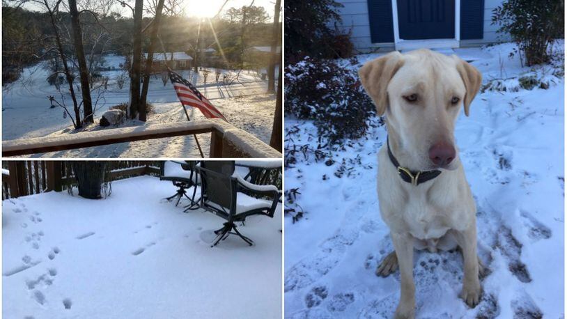 Here's a look at some of the photos tweeted out in Marietta on Wednesday, Jan. 17, 2018, including Maverick the dog on the right.