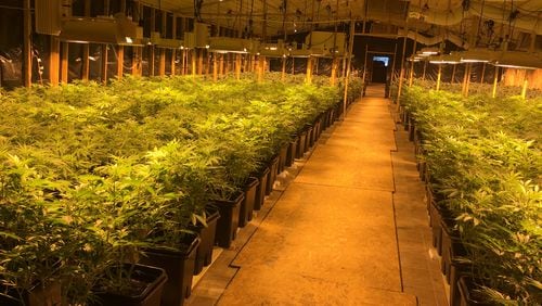 An $18 million marijuana bust took place in Franklin County Friday, authorities said.