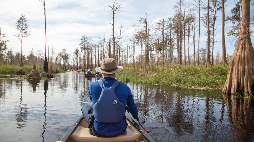 A paddler in a canoe is shown in Georgia's Okefenokee swamp. (Photo Courtesy of Georgia Conservancy)