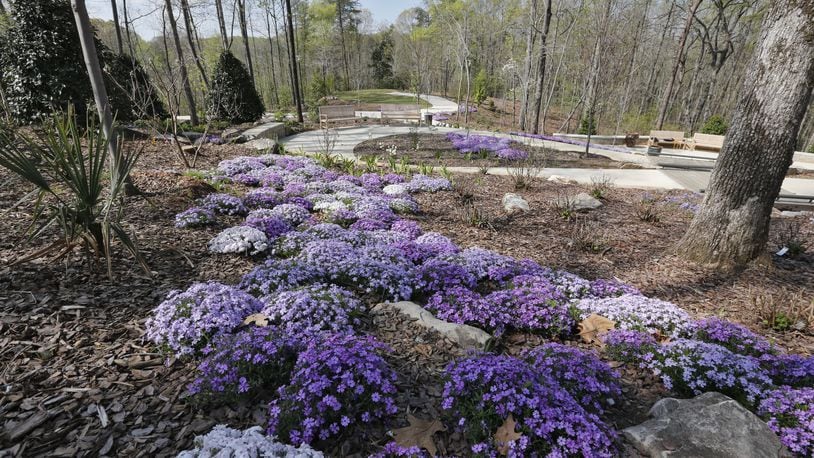 April 9, 2015 - Gainesville - The Atlanta Botanical Garden is opening its Gainesville satellite facility May 2, which includes an amphitheater, walking paths and greenhouses. BOB ANDRES / BANDRES@AJC.COM Creeping phlox adorns a hillside at the new Atlanta Botanical Garden, Gainesville. Photo: Bob Andres