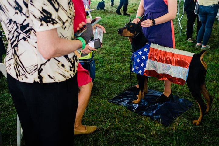 A Doberman Pinscher named Kent at the Westminster Kennel Club Dog Show, held at the Lyndhurst Mansion in Tarrytown, N.Y., on Sunday, June 13, 2021. (Gabriela Bhaskar/The New York Times)