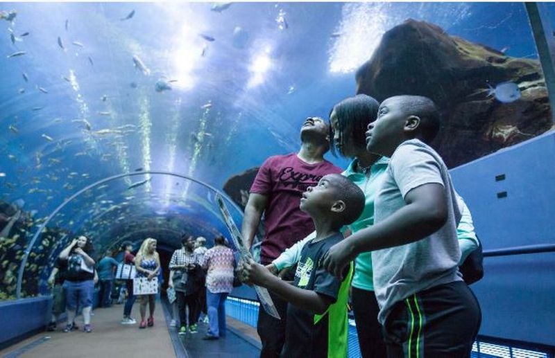 A family attends Autism Awareness Day at the Georgia Aquarium. CONTRIBUTED