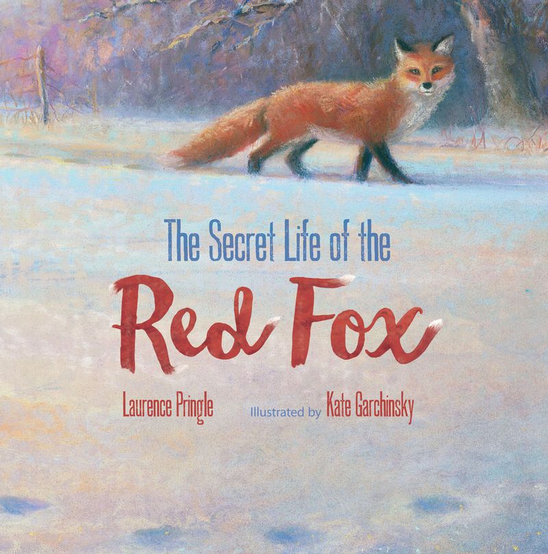 “The Secret Life of the Red Fox” by Laurence Pringle, illustrated by Kate Garchinsky (Boyds Mills Press). CONTRIBUTED