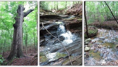 Photos depict parts of the Seven Branches land recently acquired by Roswell along Holcomb Bridge Road. COALITION FOR EAST ROSWELL PROGRESS via Facebook.