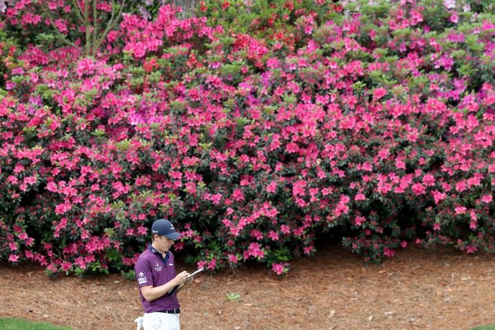 April 9, 2021, Augusta: Azaleas bloom as Carlos Ortiz checks his score card on the thirteenth hole during the second round of the Masters at Augusta National Golf Club on Friday, April 9, 2021, in Augusta. Curtis Compton/ccompton@ajc.com