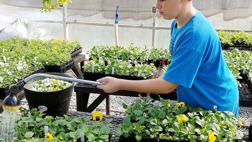 West Jackson Middle schooler Michael Howard works on a horticulture project for his agriculture education class. The school recently won national recognition for its program.