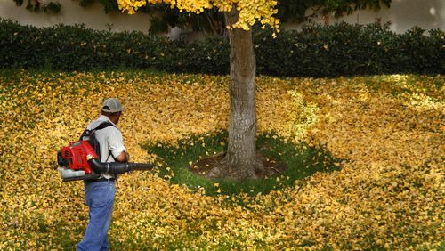 The Georgia Senate on Monday approved a bill that would prevent cities and counties from banning gas-powered leaf blowers. (Don Bartletti/Los Angeles Times/TNS)