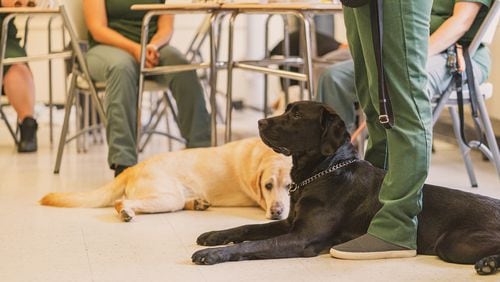 Therapy dogs are seen during the training at Bedford Hills Correctional Facility in Bedford Hills, New York on July 28, 2021. MUST CREDIT: Photo by Jeenah Moon for The Washington Post.