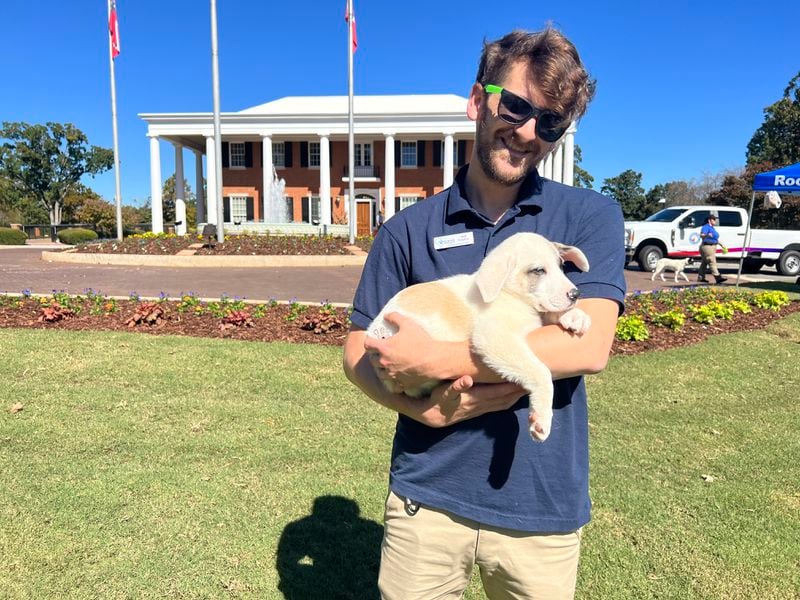 Arnold, a Great Pyrenees mix puppy, on the lawn of the Governor’s Mansion with Jed Kaylor of the Athens Humane Society. (Patricia Murphy/patricia.murphy@ajc.com)