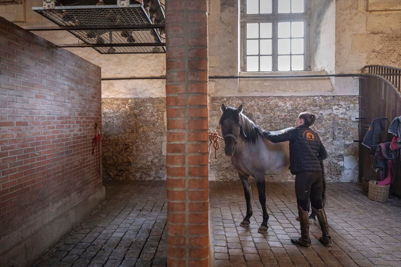 A horsewoman brushes her horse in the royal stables, in Versailles, Thursday, April 25, 2024. More than 340 years after the royal stables were built under the reign of France's Sun King, riders and horses continue to train and perform in front of the Versailles Palace. The site will soon keep on with the tradition by hosting the equestrian sports during the Paris Olympics. Commissioned by King Louis XIV, the stables have been built from 1679 to 1682 opposite to the palace's main entrance. (AP Photo/Aurelien Morissard)