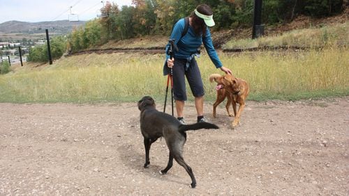 Before taking your dog out on a day hike or an overnight camping trip, practice with a few dry runs. (Wina Sturgeon/TNS)