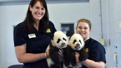 Caring for animals at an accredited zoo such as Zoo Atlanta is a competitive field.