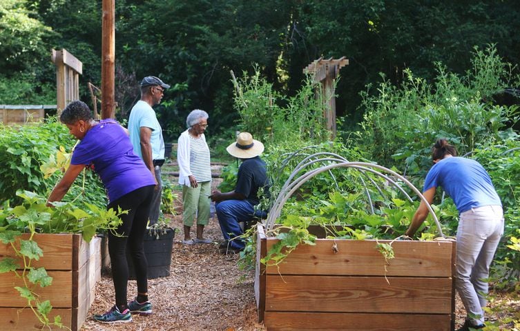 Photos: A look inside Georgia's first food forest