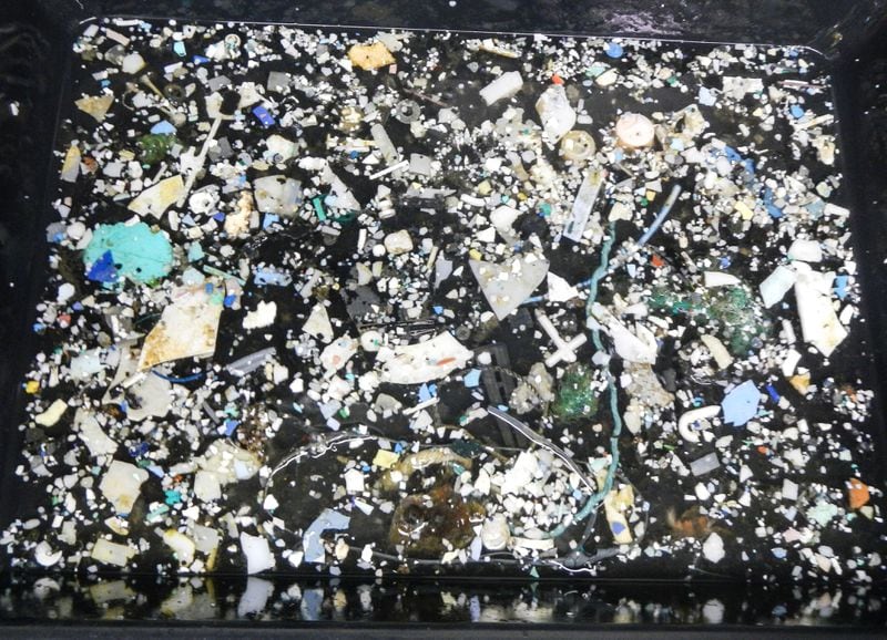 Microplastics and larger chunks of plastic, along with tons of abandoned or lost fishing nets, litter the ocean in an area known as the Great Pacific Garbage Patch.