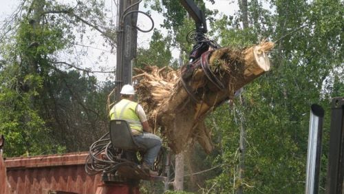 DeKalb County will close part of Woodhaven Drive on Sept. 8 to remove a large tree. file photo