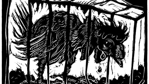 “Caged Chicken” woodcut on paper by Sue Coe.