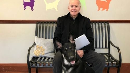 The two German Shepherds that President Joe Biden and first lady Jill Biden brought with them to the White House went back to the family home for a few days while their world-famous owners were traveling.