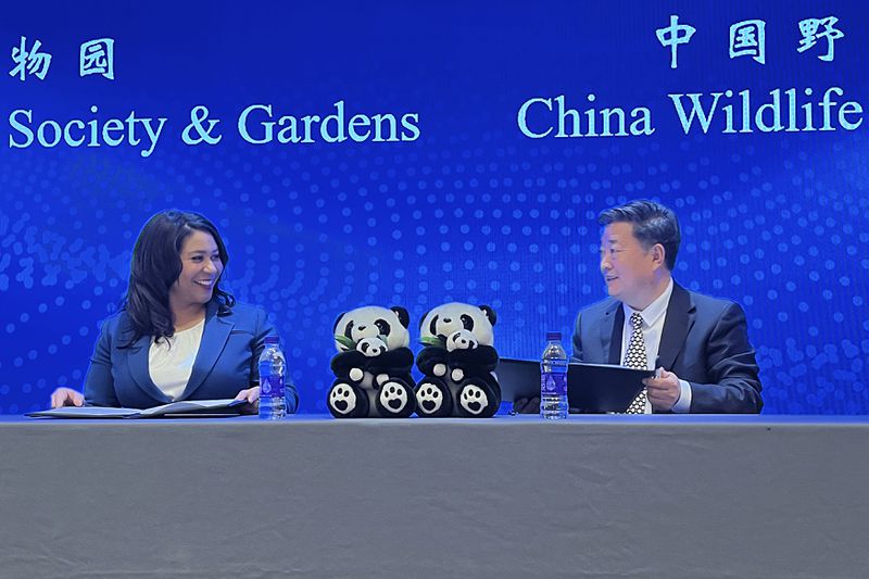 London Breed, mayor of San Francisco, left, and Wu Minglu, Secretary General of China Wildlife Conservation Association (CWCA), attend a signing ceremony for an agreement to lease giant pandas for the San Francisco Zoological Society and Gardens, in Beijing, Friday, April 19, 2024. (AP Photo/Liu Zheng)
