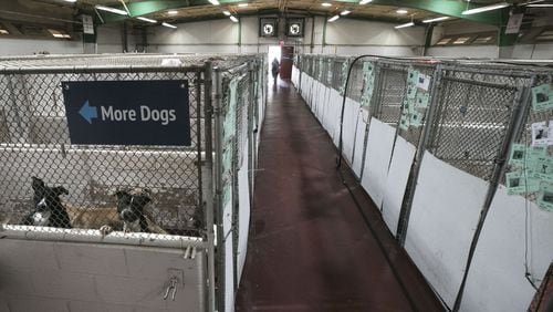 Some dogs share kennels in the main building. Fulton County proposes to spend an estimated $25 million to build the largest animal shelter in the state (and one of the largest in the country). Their existing shelter, built in the ’70s, is overcrowded and needs renovations. Bob Andres / bandres@ajc.com