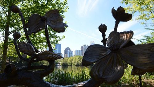While real dogwoods aren't in bloom in August in Atlanta, this sculpture in Piedmont Park ensures there are some blossoms for the Atlanta Dogwood Festival to be held Aug. 6-Aug. 8. The pandemic forced the festival this year to be rescheduled from its usual time in April.