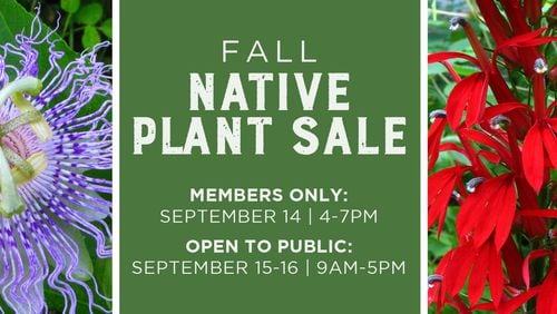 The Chattahoochee Nature Center will host their Fall Native Plant Sale 9 a.m. to 5 p.m. Friday and Saturday, Sept. 15-16 at the center greenhouse, 9135 Willeo Road in Roswell. (Courtesy Chattahoochee Nature Center)