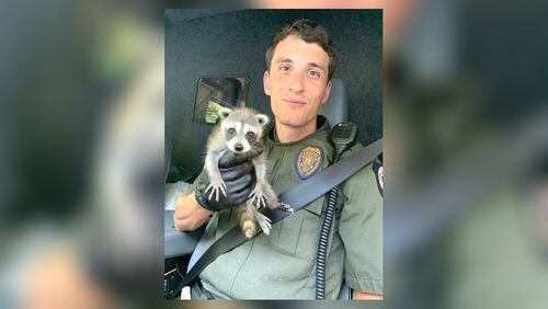 Officer Seed with Cobb County Animal Services rescued an orphaned raccoon this week.