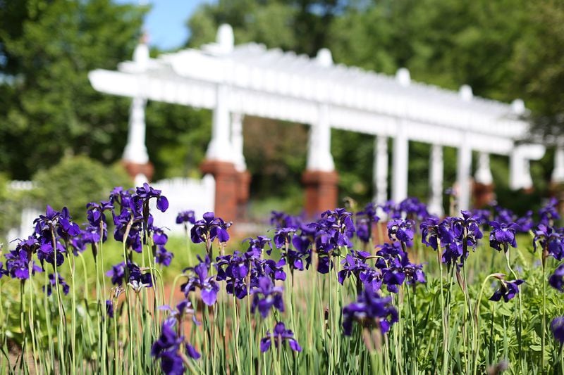 The State Botanical Garden of Georgia at the University of Georgia is one of the state’s most treasured resources, attracting more than 250,000 visitors each year. Contributed by The State Botanical Garden of Georgia