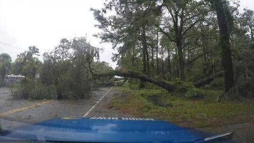 The sustained winds from Tropical Storm Irma, coupled with wet ground, is taking trees and limbs down in Georgia, such as this one that came down in Brunswick.