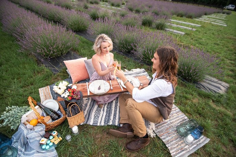 A couple picnics at Sweethaven Lavender farm in Williamsburg, Virginia. Contributed by Lindsey Lyons Photography