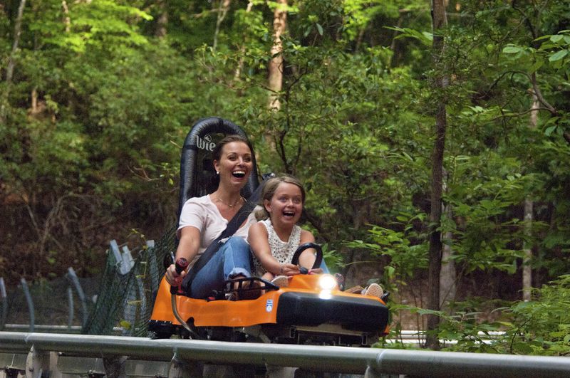 No need for snow when zipping down a mountainside on this new coaster ride in Helen.
Courtesy of Georgia Mountain Coaster