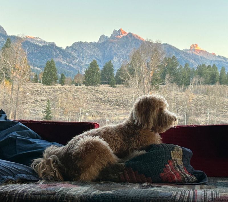 Luna Durrertt looking out at the mountains in Jackson Hole, Wyoming. (Courtesy photo)