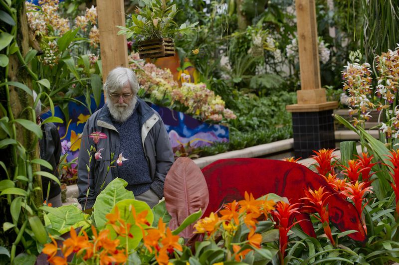 Carl Schurer looks at the orchids on display in the Paul Gauguin section of the Orchid Daze: Lasting Impressions installation at the Atlanta Botanical Garden’s Fuqua Conservatory and Orchid Center on Tuesday, March 4, 2014. JONATHAN PHILLIPS / SPECIAL
