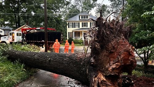 Strong storms brought down trees, including one in Decatur that blocked a road Friday evening.