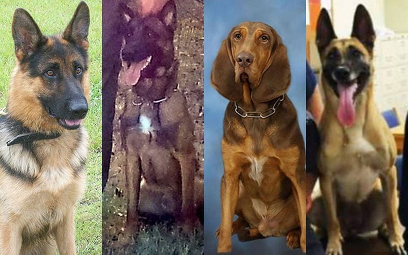 K9 officers Baston, Spartacus, Zane and Inca all died in hot police cars.