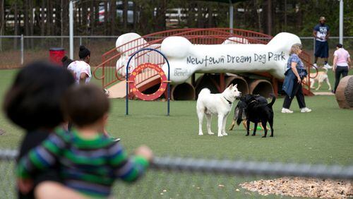 Newtown Dream Dog Park boasts water fountains and sprinklers and separate play areas for large and small dogs. A boy and his mother watch dogs play at the dog park at the park Saturday, March 21, 2015, in Johns Creek. PHOTO / JASON GETZ
