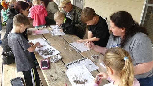 Kids and adults dissect “owl pellets” at Chattahoochee Bend State Park to see what the owls have eaten. The pellets contain undigested tiny bones of mice, birds and other prey. CONTRIBUTED BY CHARLES SEABROOK