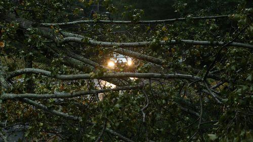 Trees came down across metro Atlanta area as Hurricane Irma swept through Georgia last September. Cherokee County is seeking $80,596 from FEMA to reimburse its costs responding to the storm. Henry Taylor/For the AJC