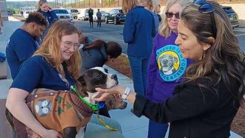 Visitors play with Denise, a 1-year-old pit bull mix, up for adoption at the Nov. 16, 2023, ribbon-cutting for the new Fulton County animal shelter.