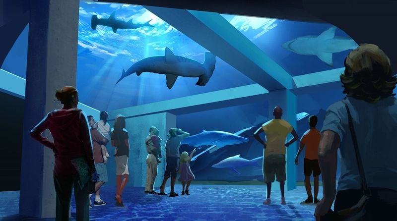 The Georgia Aquarium Expansion 2020 project will include a new shark gallery, which is slated to open in late fall 2020. CONTRIBUTED