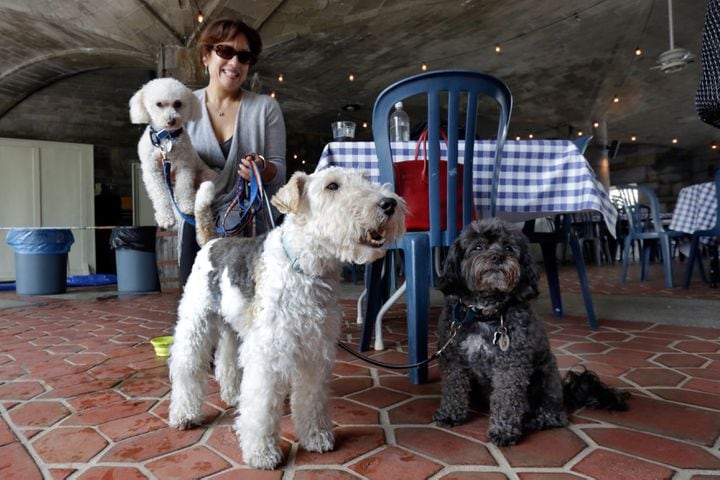 Where to dine with your dog in Atlanta