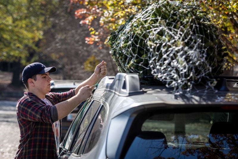 Nick Anthony secures a Christmas tree to a customer's car at the Trees For Tuition lot in Virginia-Highland
 on Saturday, November 25, 2023. (Steve Schaefer/steve.schaefer@ajc.com)