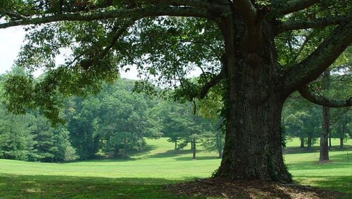 During July and August, community comments are welcome during six public meetings about Cobb’s newly purchased parks. (Courtesy of Cobb County)