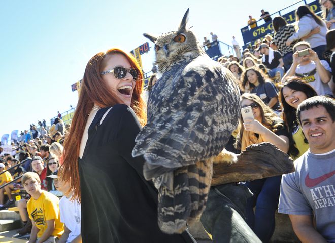 Owls celebrate historic win