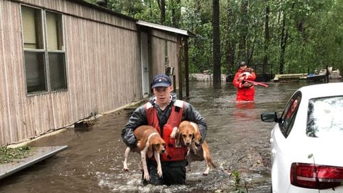 United States Coast Guard members of Shallow-Water Response Team 3 rescued beagles and their owners stranded by floodwater from Hurricane Florence. (Photo by USCG 5th District Mid Atlantic)
