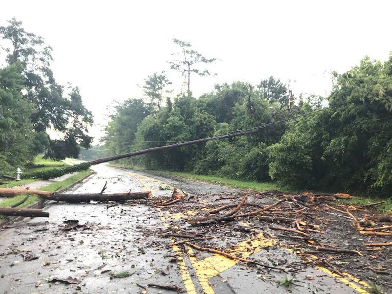 Wilson Road in Johns Creek is closed near Wilson Creek Elementary because a tree fell on power lines over the road, Johns Creek police said in a tweet.