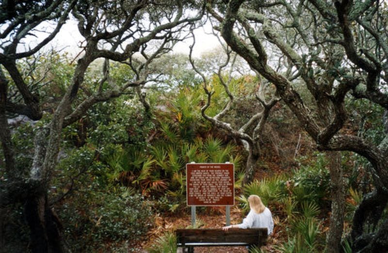 Grayton Beach State Park features rugged, old-growth forest on the coast of the Florida panhandle. AJC File 