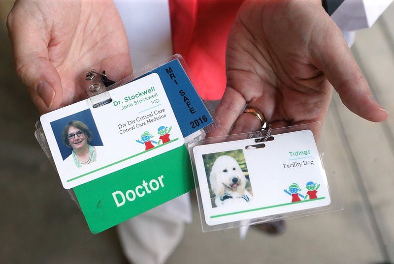 Dr. Jana Stockwell holds badges for her and Tidings at Children’s Healthcare of Atlanta at Egleston. (Curtis Compton / ccompton@ajc.com)