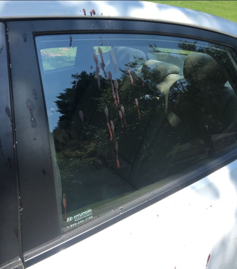 A neighbor's car was spattered with blood after a man and a teenage boy were shot on Highpoint Court in Snellville. The car's owner said she didn't know how it was involved.