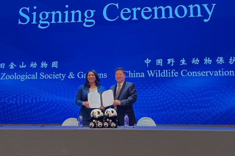 London Breed, left, Mayor of San Francisco, and Wu Minglu, Secretary General of China Wildlife Conservation Association (CWCA) hold up an agreement to lease giant pandas for the San Francisco Zoological Society and Gardens during a signing ceremony in Beijing, Friday, April 19, 2024. (AP Photo/Liu Zheng)