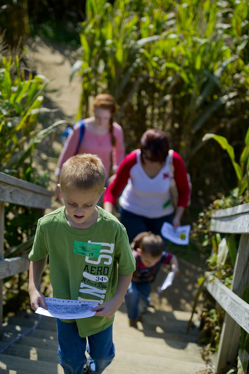 Ryan Bebout looks at the map as he leads his family up the steps to the overlook bridge inside the corn maze at Carlton Farms in Rockmart.
